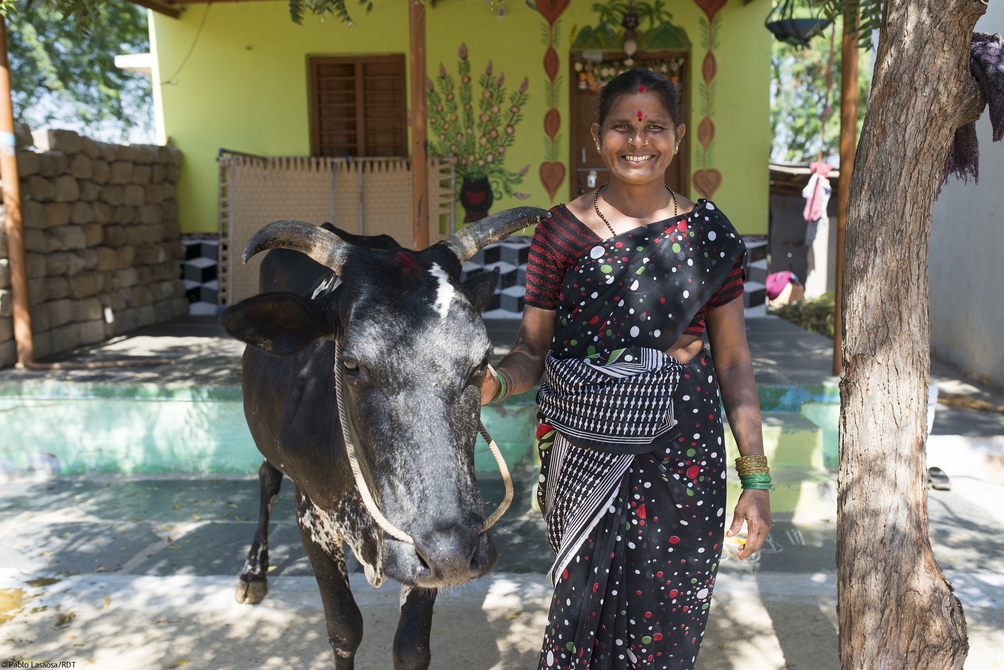 Frau mit Ochse vor ihrem Haus. Wir unterstützen Frauen in Indien bei einem selbstbestimmten Leben in der Landwirtschaft.