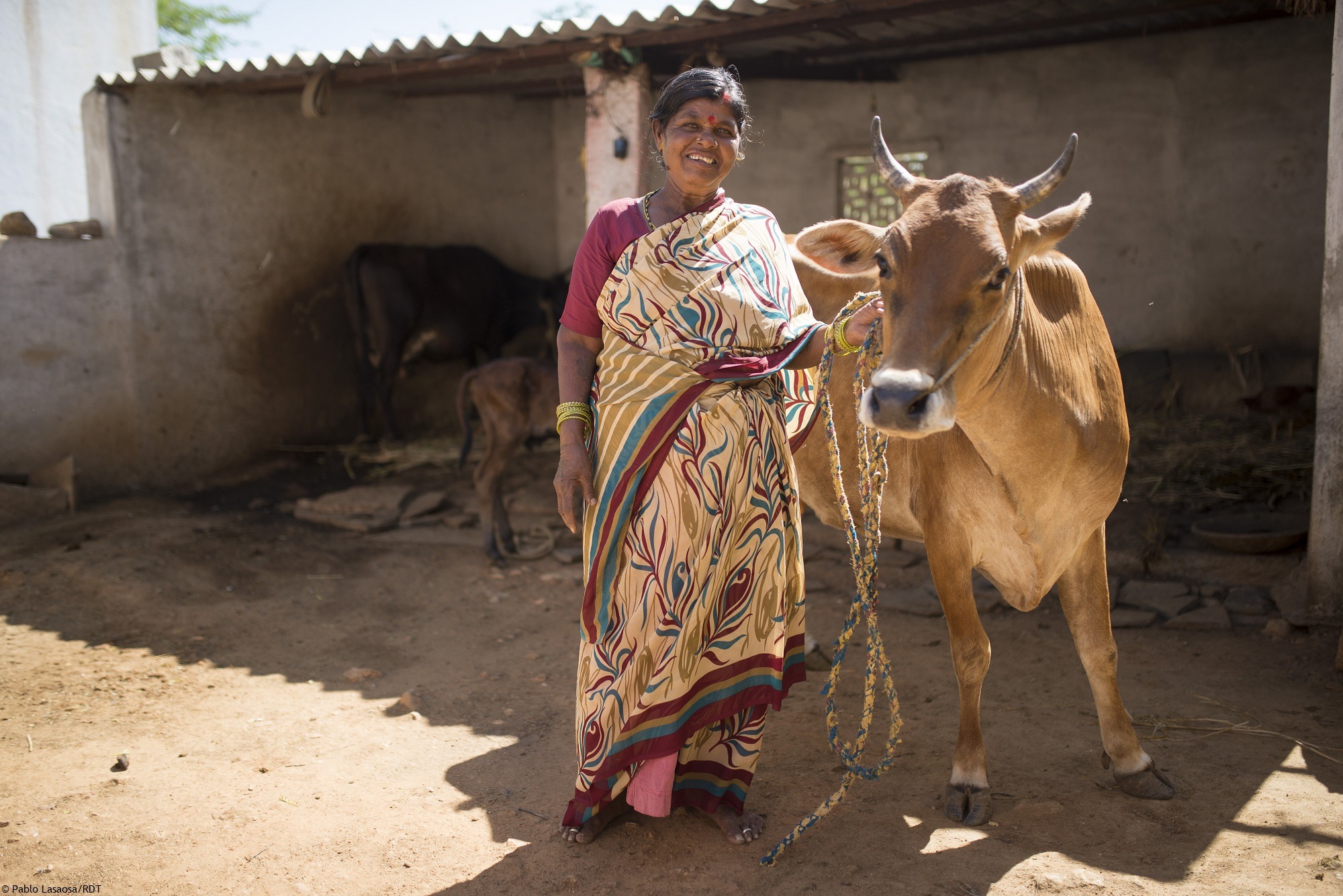 Wir vergeben Darlehen an Frauen in Indien, mit denen sie sich Milchkühe kaufen können. Mit dem Verkauf der Milch können sie dann ihren Lebensunterhalt bestreiten.