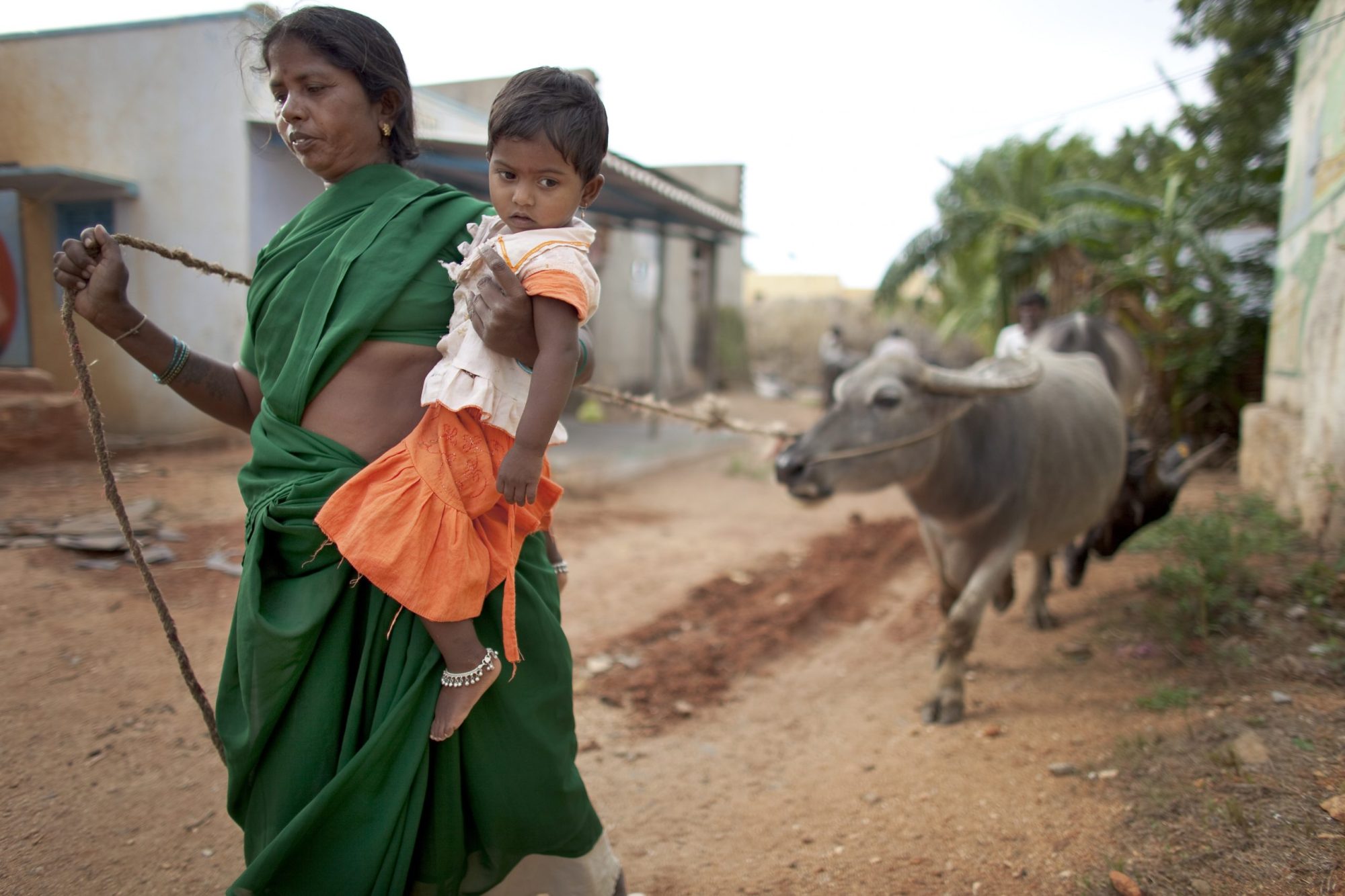 Indische Frau mit Kind und Milchkühen. Finanzielle Unabhängigkeit ermöglichen.